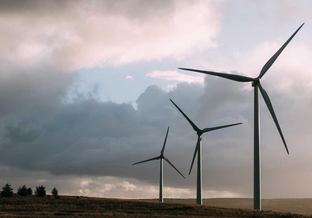 3 wind turbines spin on a grassy hillside with green trees in the background.