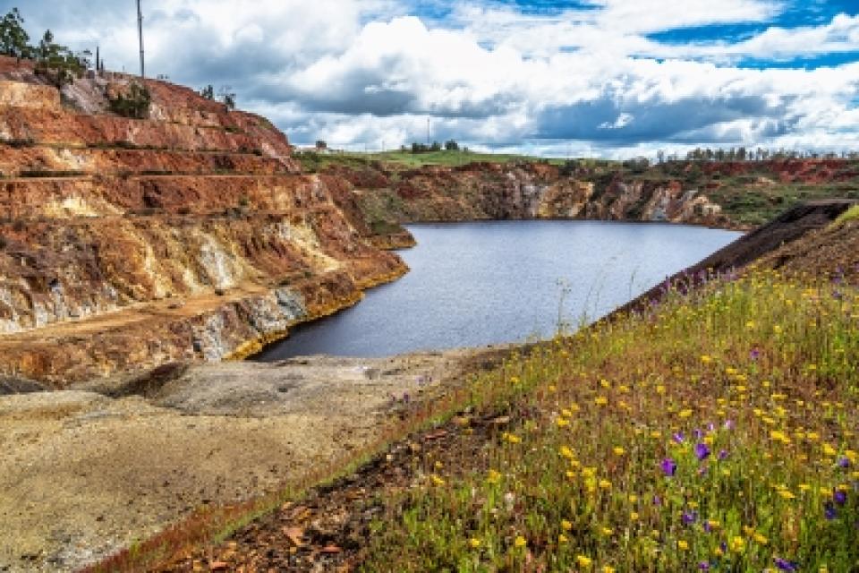 Managing waste and pollution from mining with live covers and super plants