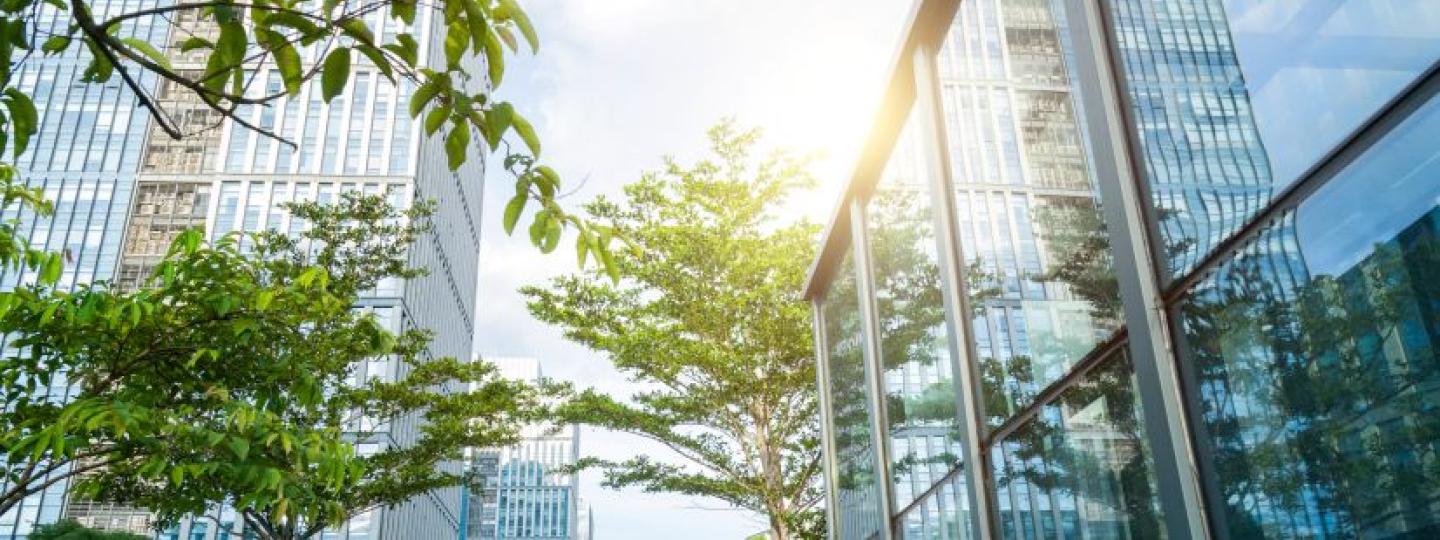 Low view of green plants sun and sky outside a glass office building