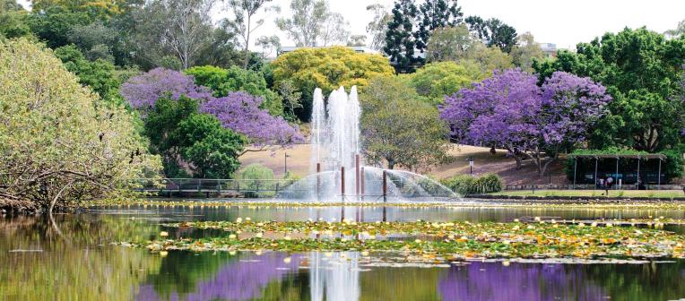 View of UQ lakes, with a fountain in the centre of the lake. Trees and jacarandas in bloom surround the lake.