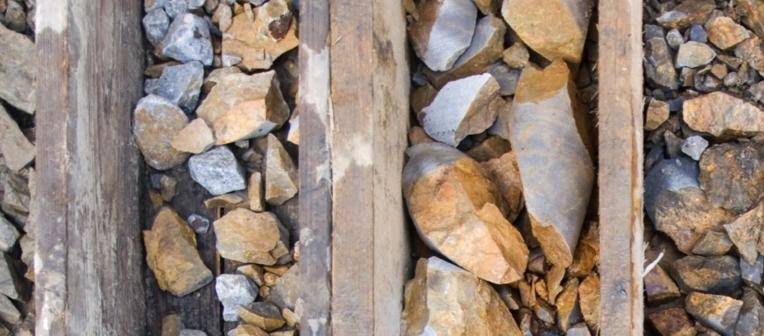 Caption: Drilled core samples. Credit: merial