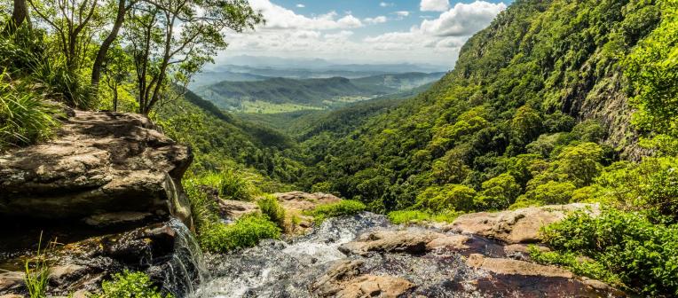 Waterway to the mountain at the Lamington national park