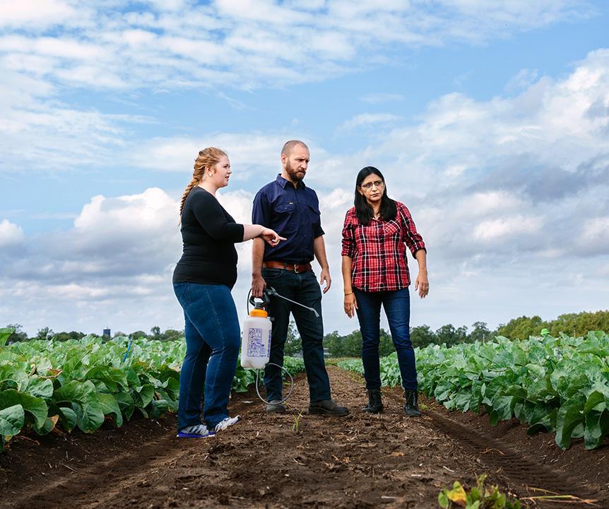 Three people in discussion, surrounded by green crops. One of the people is holding a small tank with a long nozzle.