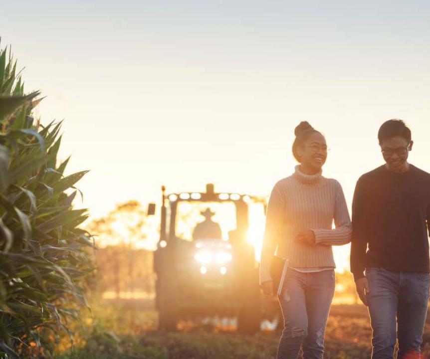 Two researchers in a field in the early morning