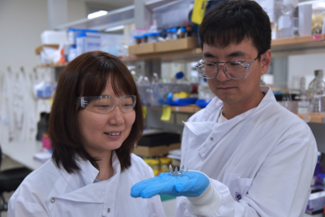 AIBN researchers Dr Ruirui Qiao and Dr Liwen Zhang