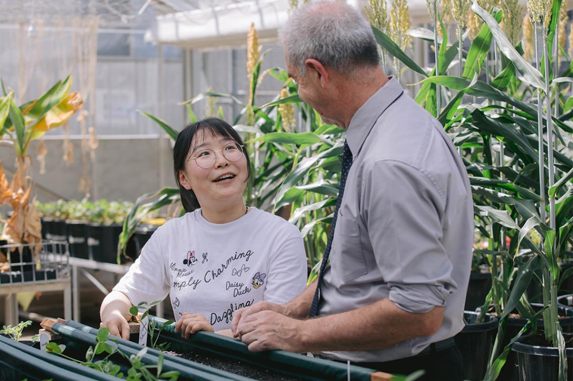 Two people talking while handling seedlings in a greenhouse.