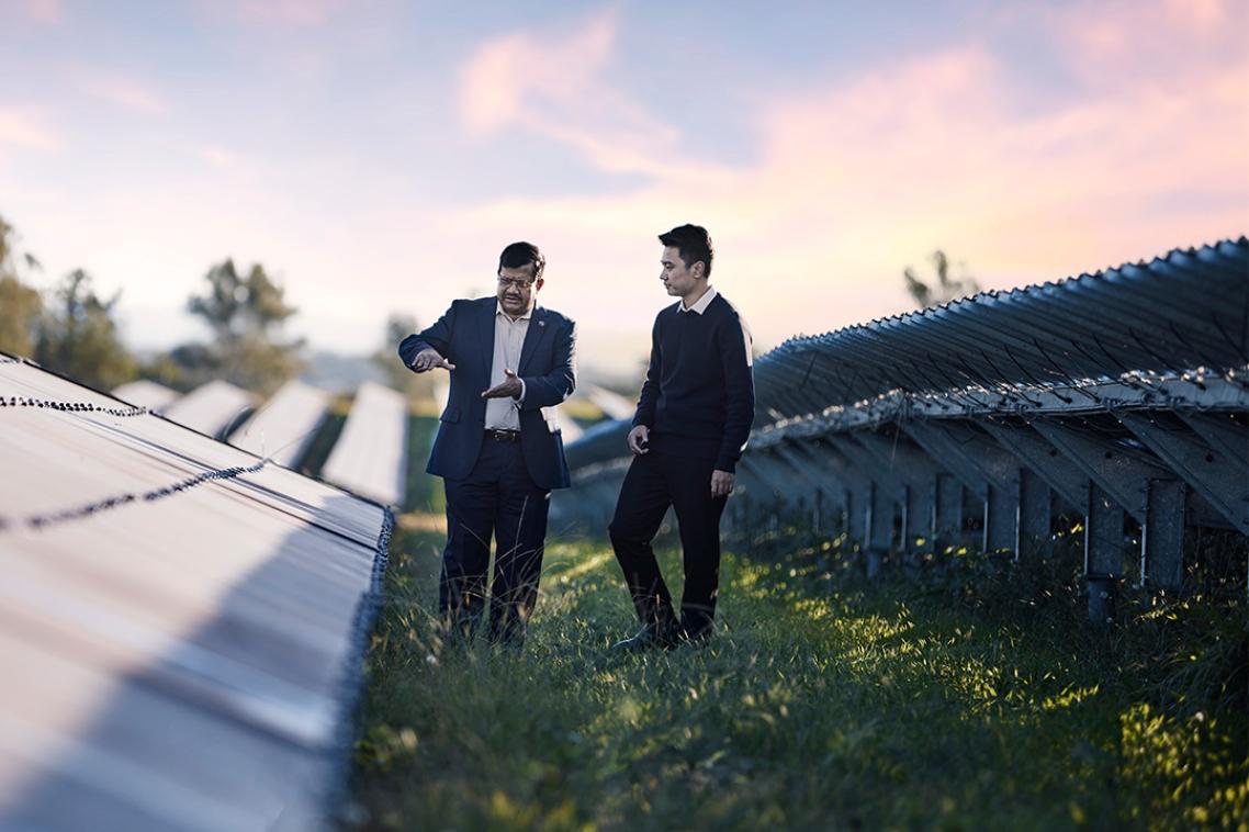 Two people walking between rows of solar panels.