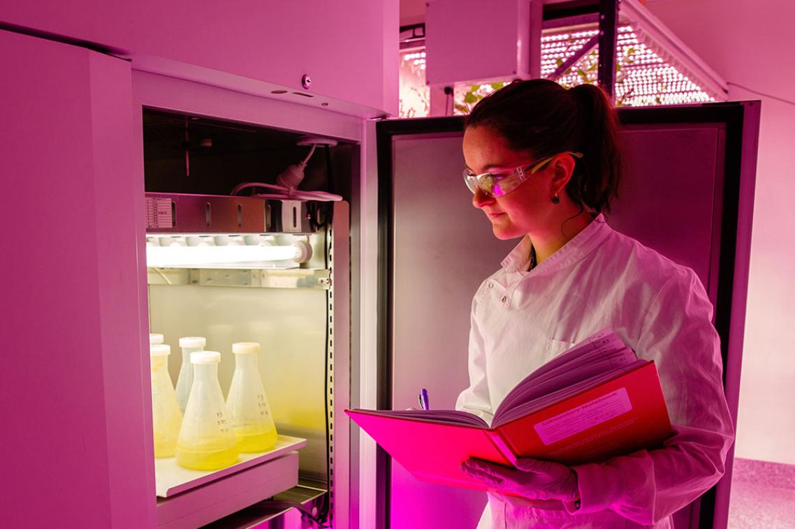 Researcher looking at samples in cool store