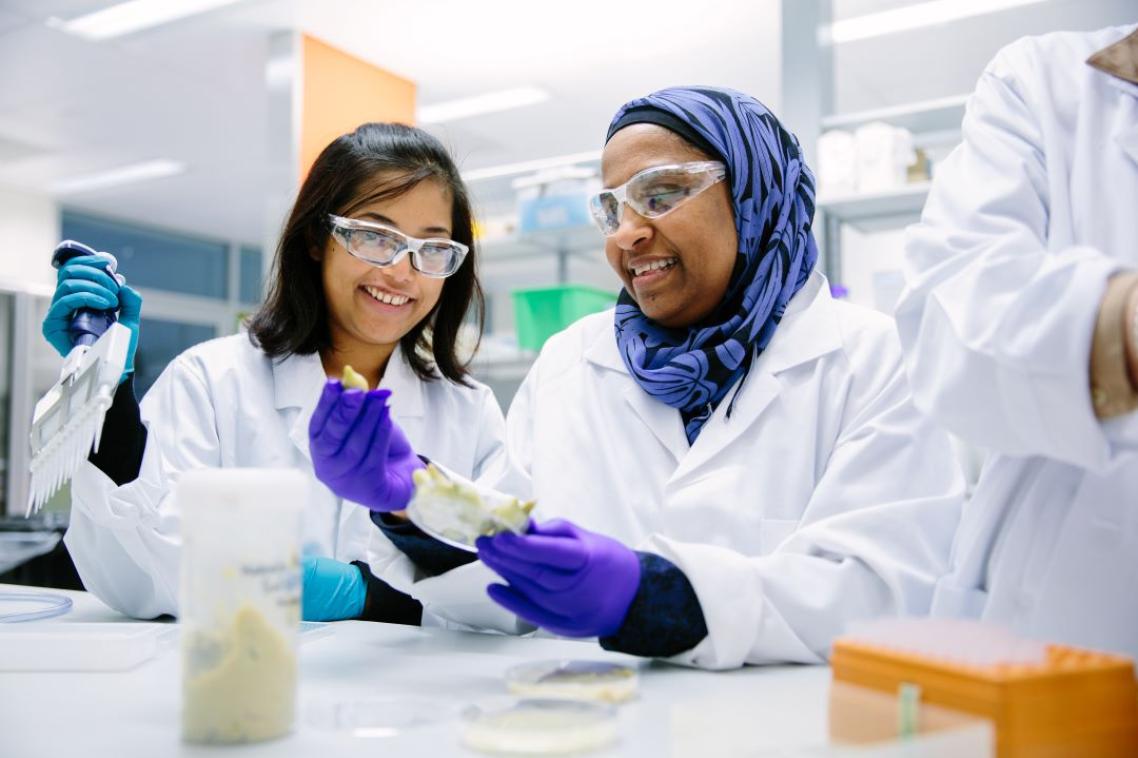 Researchers examine food products in a lab