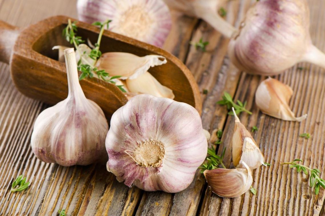 Garlic cloves on a table