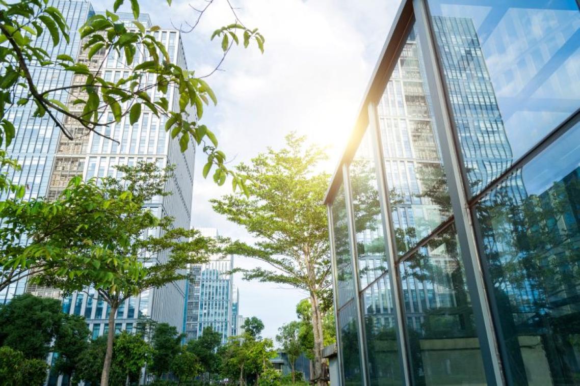 Low view looking up at green plants outside glass office building.jpg